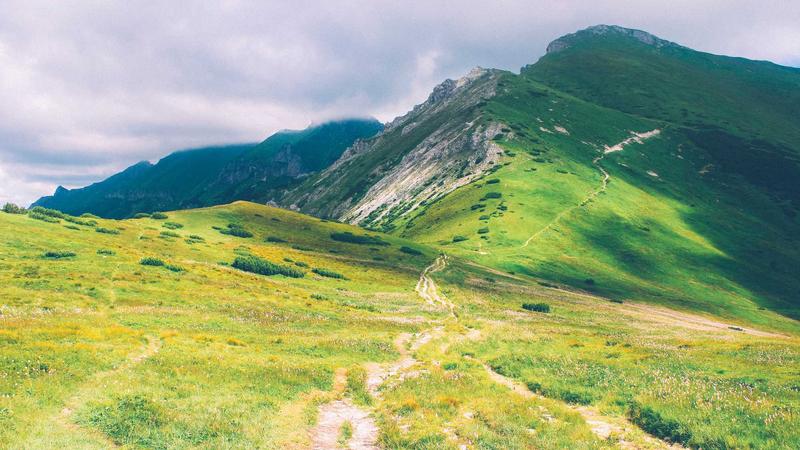 Featured image for Agntzen Com article