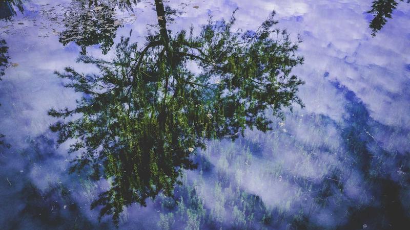 Featured image for Agntzen Com article