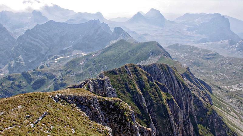 Featured image for Agntzen Com article