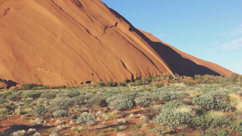 Featured image for Agntzen Com article