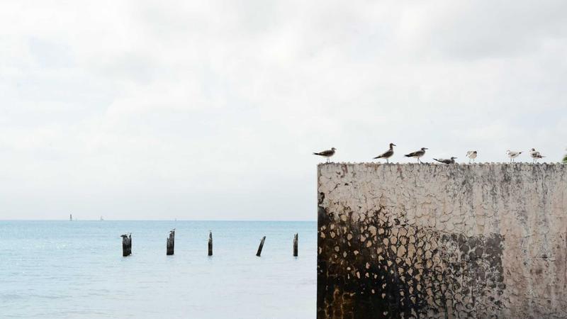 Featured image for Agntzen Com article