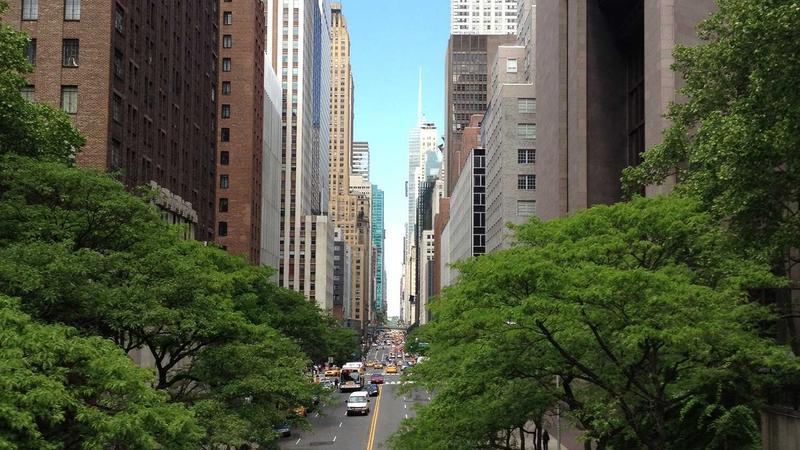 Featured image for Agntzen Com article