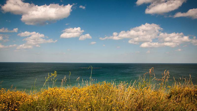 Featured image for Agntzen Com article