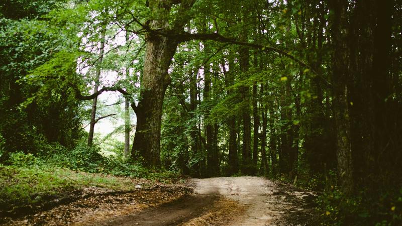 Featured image for Agntzen Com article