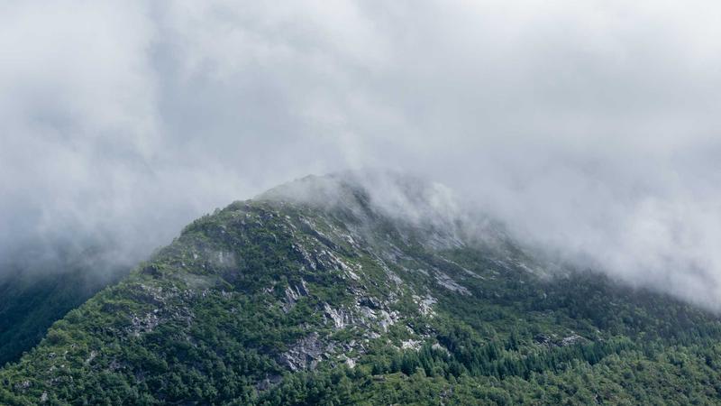 Featured image for Agntzen Com article