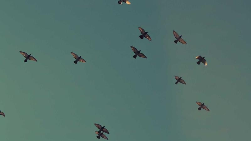 Featured image for Agntzen Com article