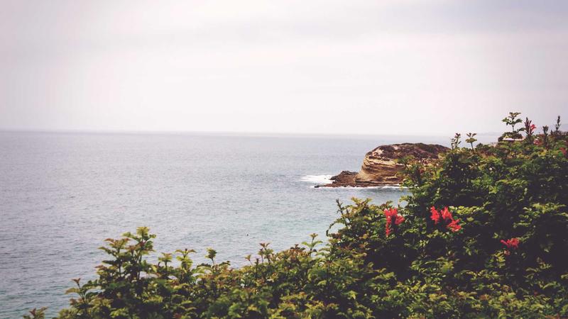 Featured image for Agntzen Com article