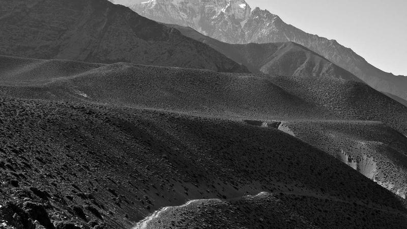 Featured image for Agntzen Com article