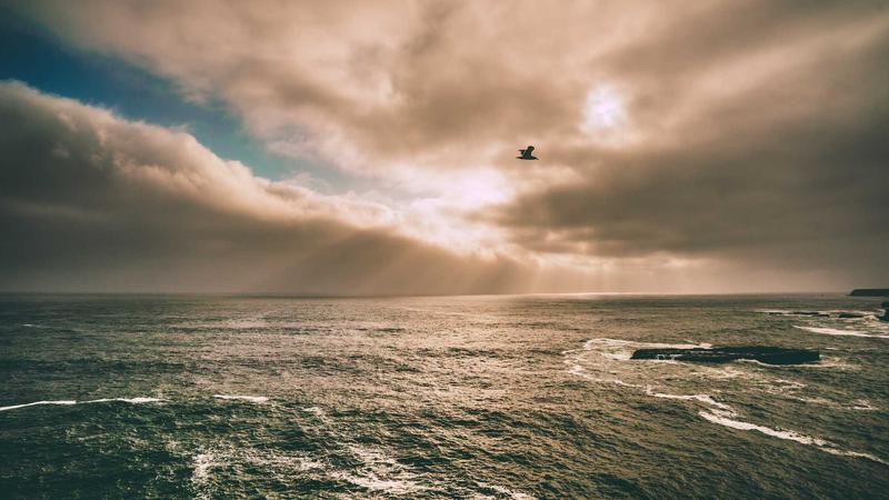 Featured image for Agntzen Com article