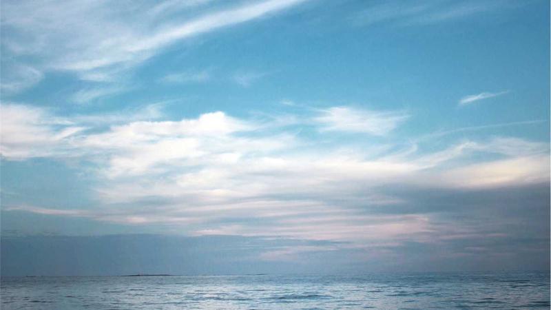 Featured image for Agntzen Com article