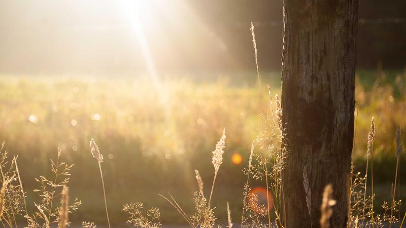 Featured image for Agntzen Com article