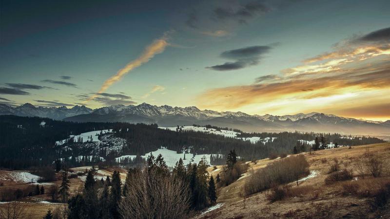 Featured image for Agntzen Com article