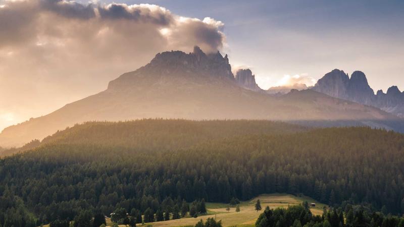 Featured image for Agntzen Com article